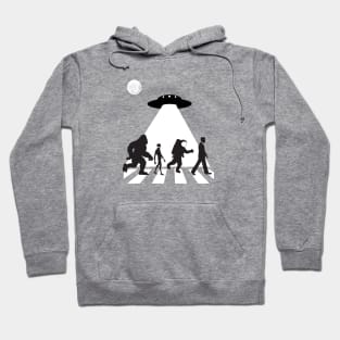 The ultimate conspiracy theory gift Hoodie